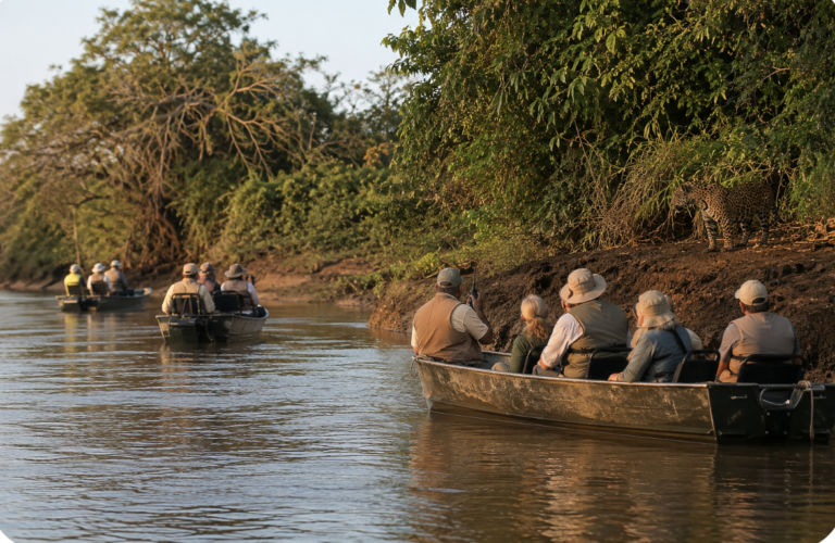 A jaguar stands on a riverbank in the Pantanal while a few wildlife-viewing boats wait at a distance on the water.
